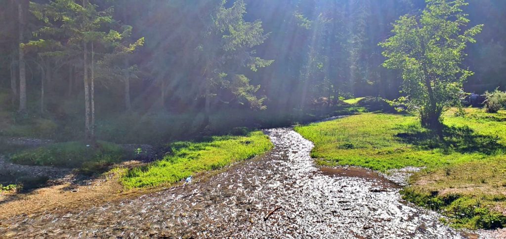 peisaj vama buzaului natura