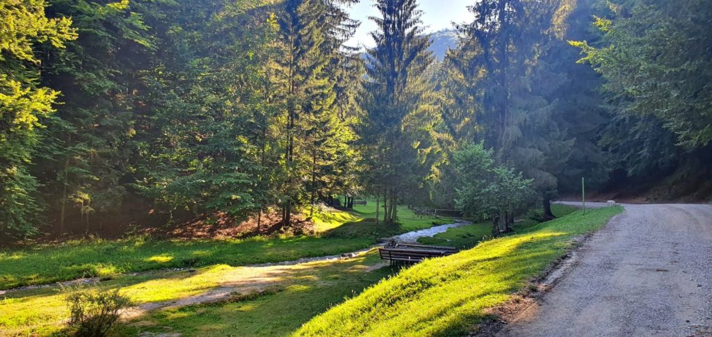 peisaj vama buzaului natura