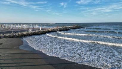 Proiect de conservare a biodiversităţii marine pe litoralul românesc