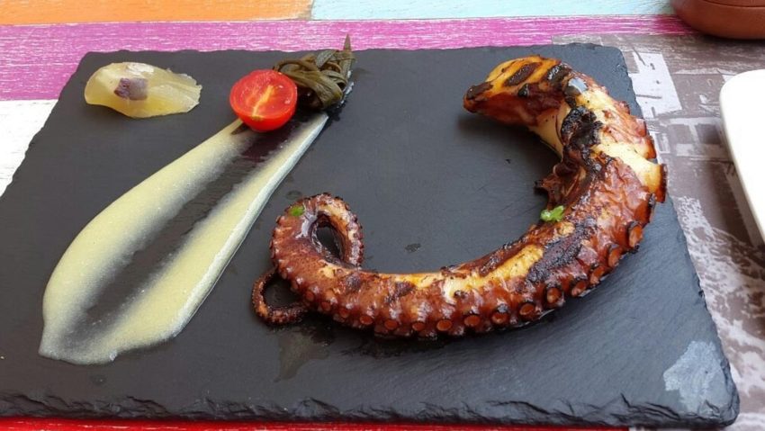 tentacul caracatita fructe de mare