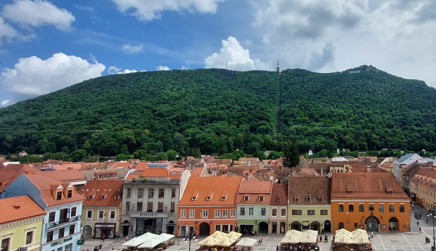 brasov tampa