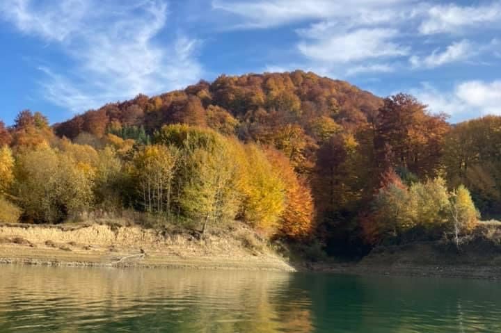 Paltinu sau Lacul de smarald de lângă București