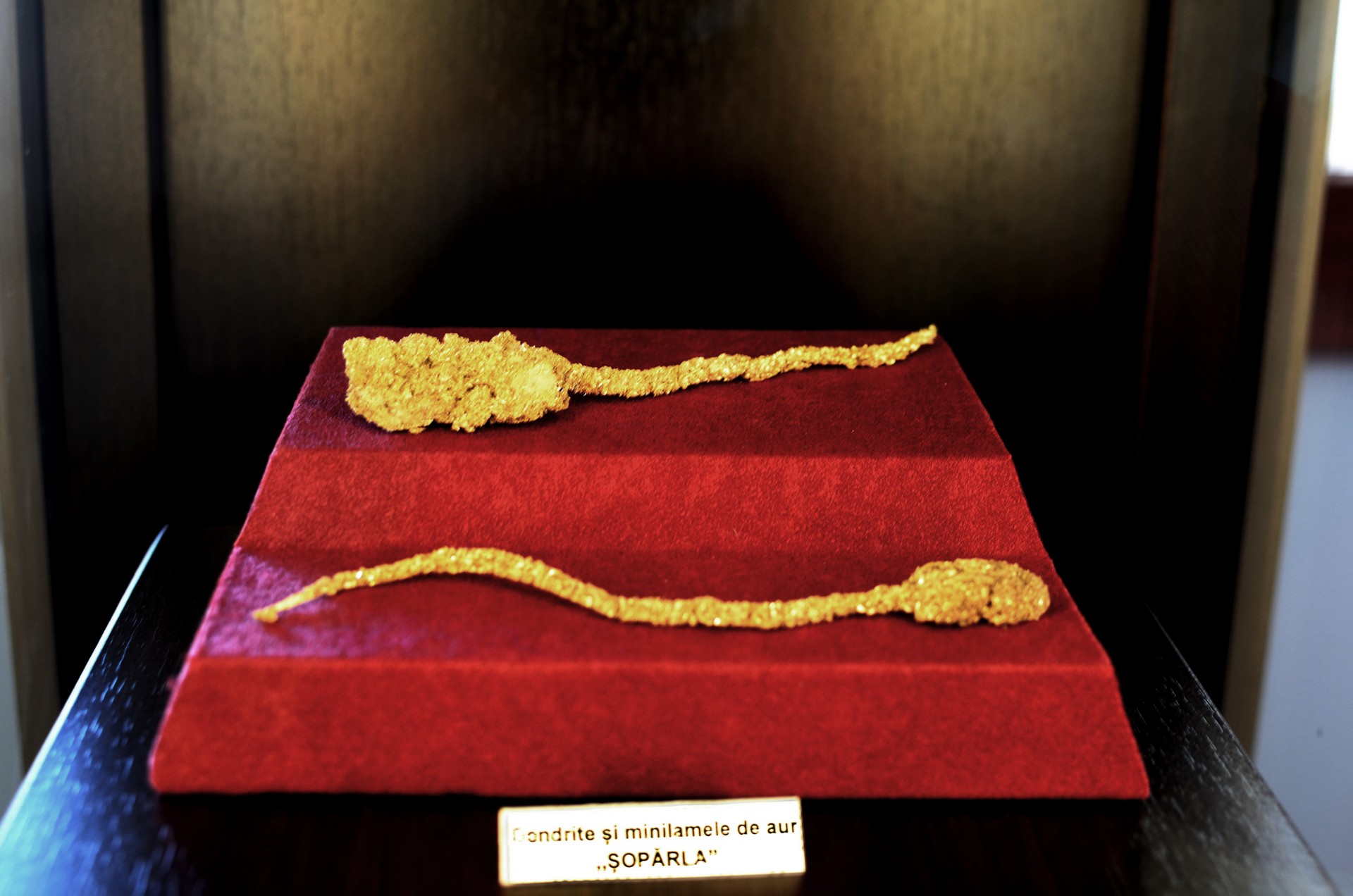 Muzeul Aurului din Brad: Singura colecție de exponate din aur nativ din Europa și una dintre cele mai valoroase din lume | FOTO