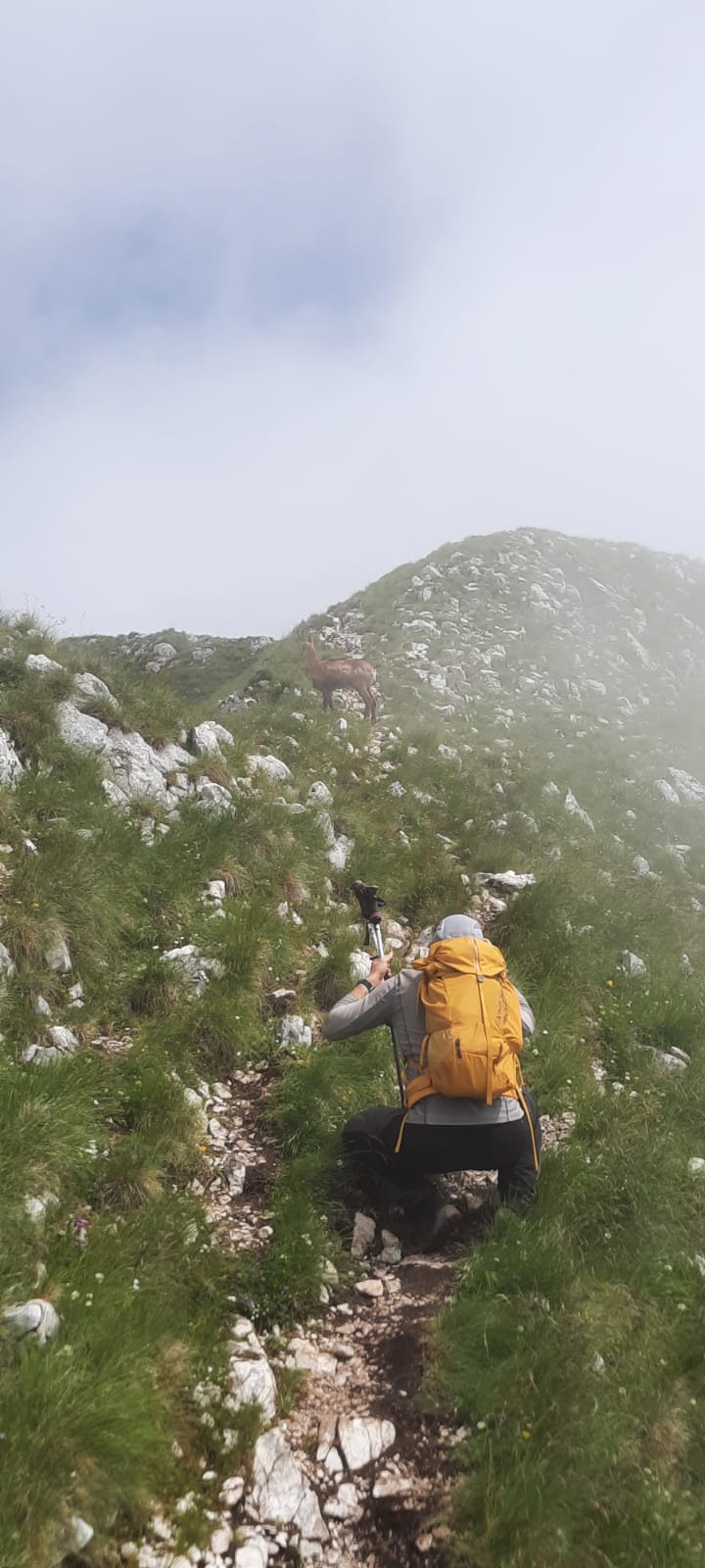 Piatra Craiului, o destinație de weekend pentru iubitorii de natură

