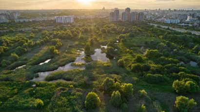 „Vară verde”, în Parcul Natural Văcărești