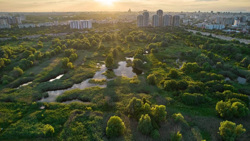 „Vară verde”, în Parcul Natural Văcărești