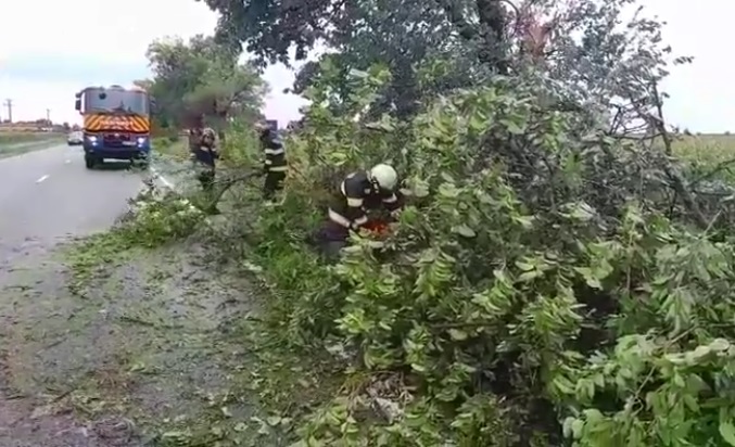 Pagube în județul Bihor după o furtună violentă | VIDEO