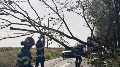 IGSU: 22 judeţe şi Capitala, afectate de vijelii şi ploi abundente