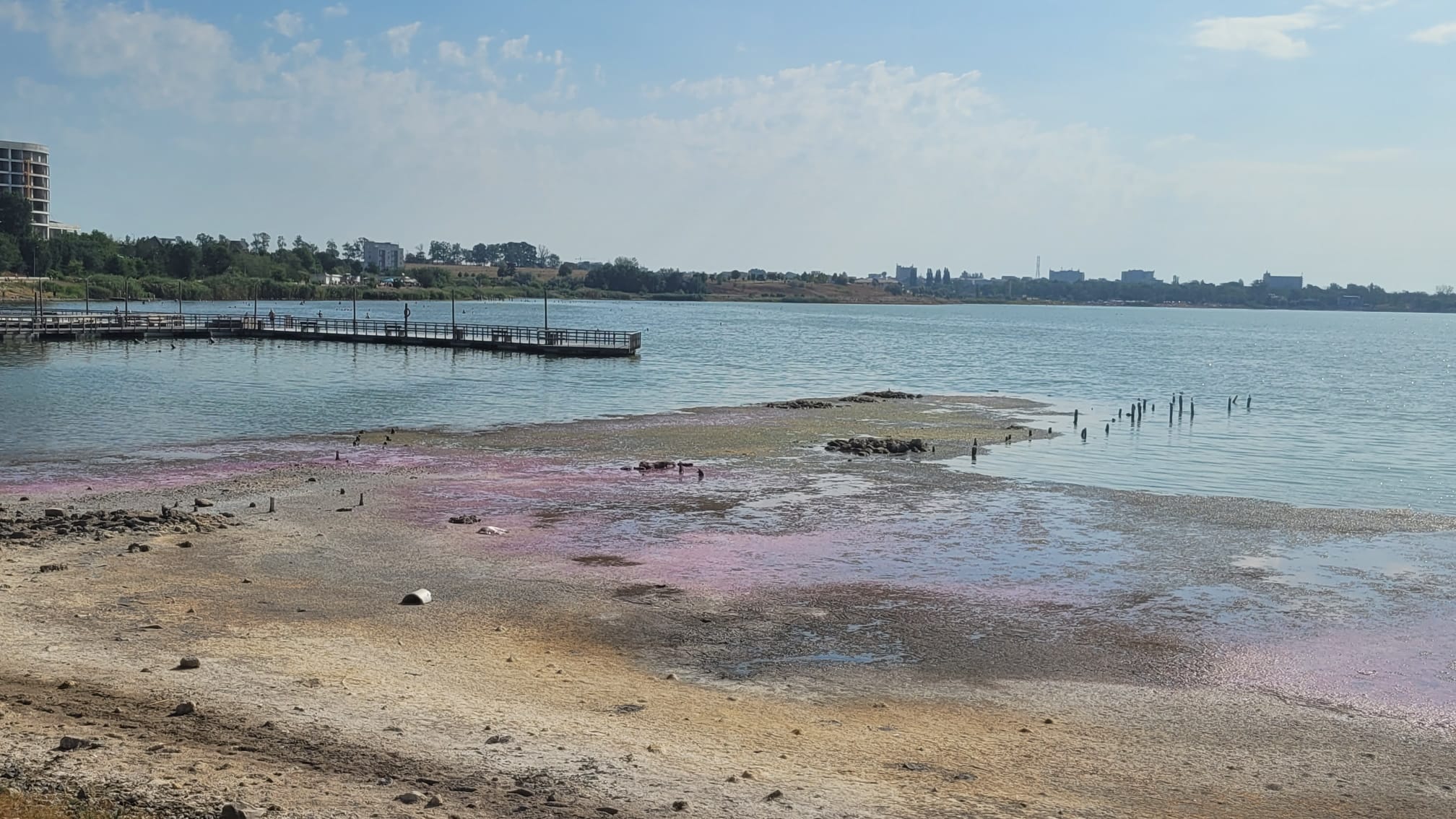 Lacul Techirghiol s-a colorat în nuanțe de roz și violet. Care este explicația