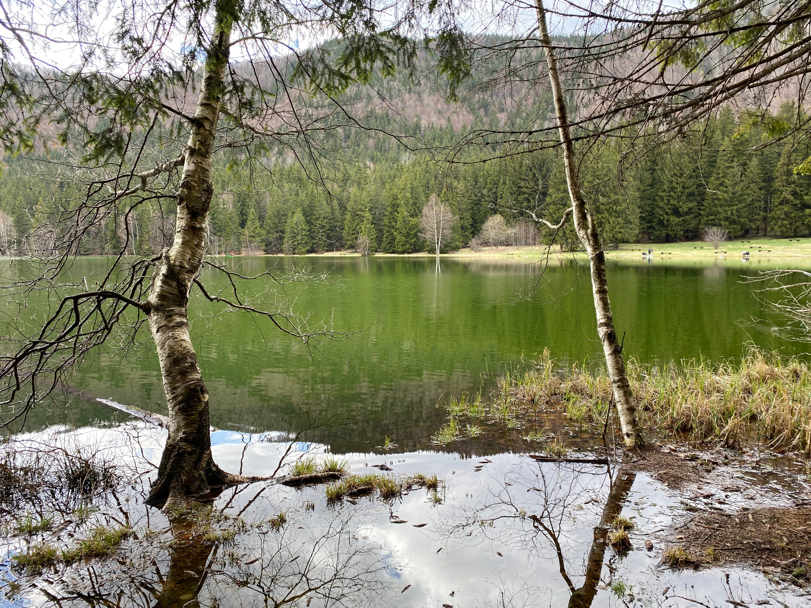 Accesul cu bagaje voluminoase, interzis turiștilor la Lacul Sfânta Ana