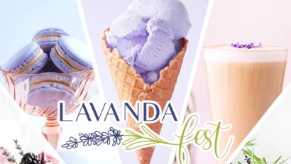 „Lavanda Fest”, la Brașov