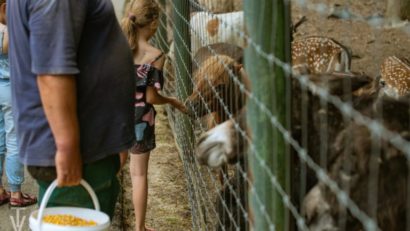 Animalele de la Zoo Târgu Mureș primesc porții suplimentare de fructe în această perioadă