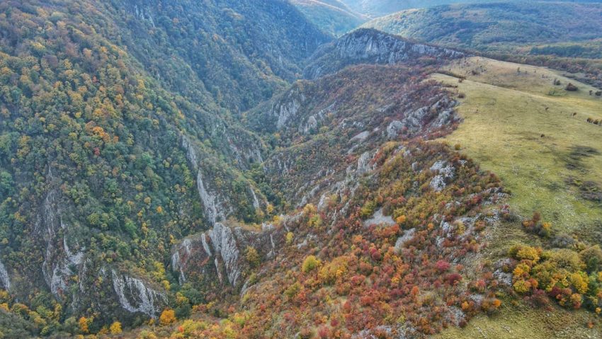 Rezervația Naturală Cheile Gârliștei, una dintre cele mai sălbatice zone din România