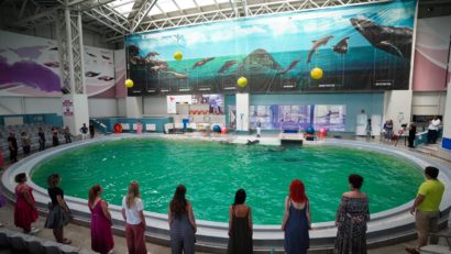 O îmbinare spectaculoasă: Corul Madrigal și delfinii din Constanța
