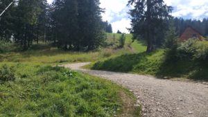 poiana brasov vara