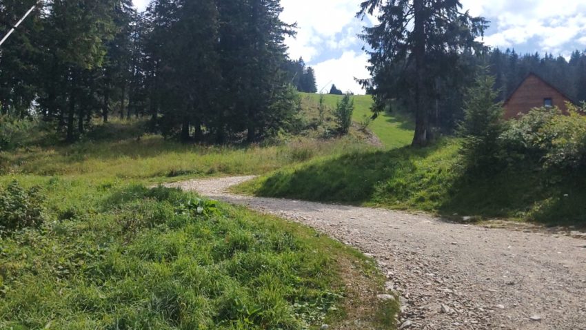poiana brasov vara poiana brasov vara