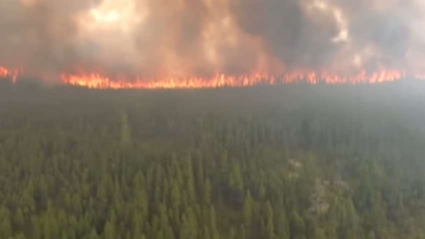 Incendiile din Canada au emis echivalentul a peste un miliard de tone de CO2