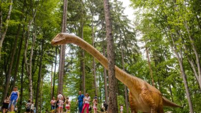 Dino Parc Râșnov, Marele Premiu al publicului la Destinația Anului