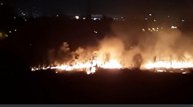 BUCUREȘTI: Incendiu în zona retrocedată din Parcul IOR