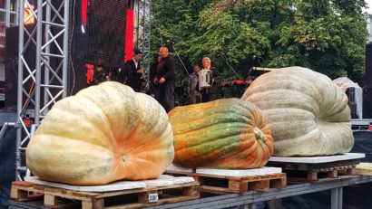 BUCUREȘTI: Festival de sculptat dovleci, în weekend, în Parcul Titan