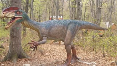 RÂȘNOV: Tabără printre dinozauri