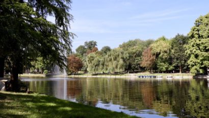 Medalia de aur pentru proiectul Parcului ”Nicolae Romanescu”, expusă pentru prima dată la Craiova