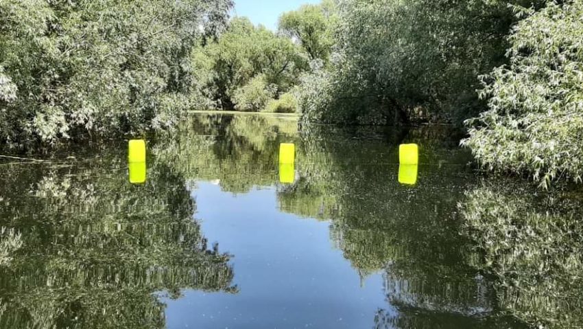 TULCEA: Excursiile pentru vizitarea coloniilor de păsări din Deltă sunt interzise TULCEA: Excursiile pentru vizitarea coloniilor de păsări din Deltă sunt interzise