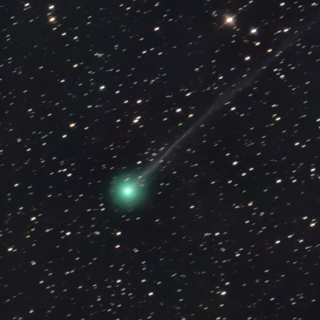 Recent descoperită, Cometa Nishimura trece pe lângă Pământ | AUDIO