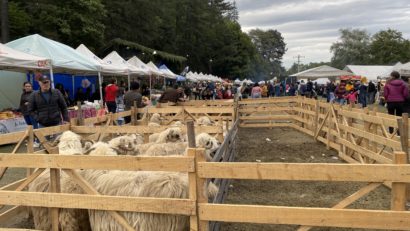 Festivalul Brânzei și al Pastramei, la Bran