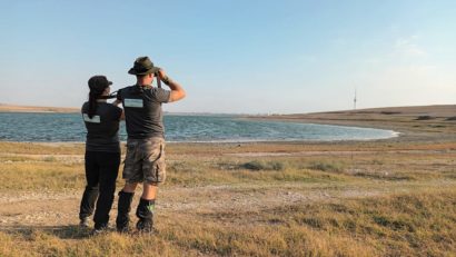EuroBirdwatch: Peste 13.000 de exemplare de graur şi 4.600 de pescăruş râzător, numărate în România
