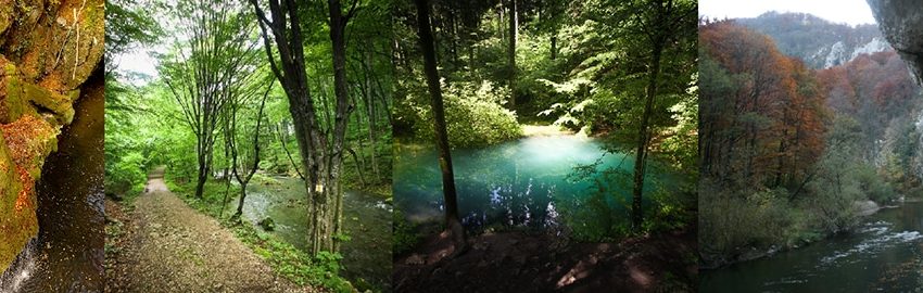 Parcul Național Cheile Nerei-Beușnița, de vizitat toamna