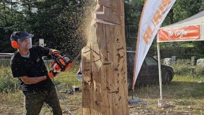 Artist în lemn din județul Constanța, prezent la Festivalul Sculptorilor cu Drujba de la Vaideeni