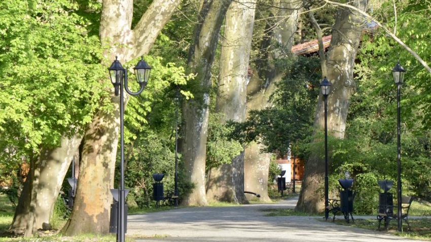 Parcul dendrologic din Buziaș, destinație de weekend