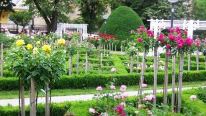 Orașul Tulcea va avea un Rosarium, amenajat pe malul Lacului Ciuperca | FOTO