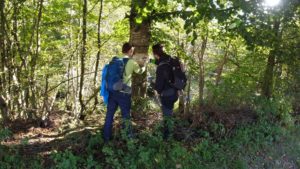 INS: Turiștii care au venit în România în interes de afaceri au cheltuit 1,18 miliarde de lei, în trimestrul trei