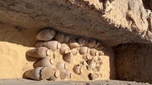 Vechi de 5.000 de ani, sute de vase cu vin au fost descoperite în sudul Egiptului