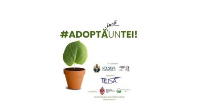 IAȘI: Campania Adoptă un tei, la a treia ediție