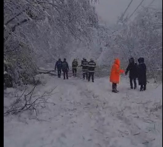 CARAȘ-SEVERIN: Accesul către Muntele Mic, restricționat din cauza zăpezii și a arborilor căzuți