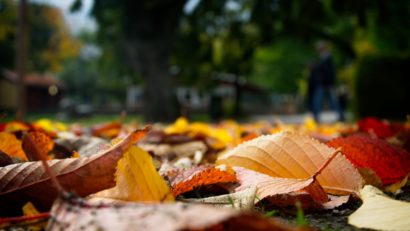 Meteorologii anunţă vreme mai caldă pentru Dobrogea, dar instabilă