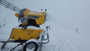 tunuri zapada postavarul