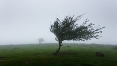 Informare de vreme severă în aproape toată țara. Meteorologii ANM anunță rafale puternice, ninsori, ploi și vânt