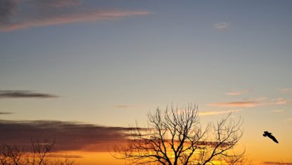 Cresc temperaturile în Dobrogea