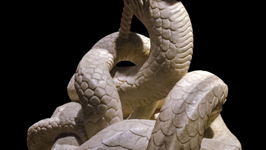 ROMA: Şarpele Glykon poate fi admirat în cadrul expoziţiei “Dacia. Ultima frontieră a romanității”