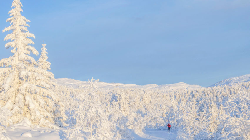 zapada norvegia atentionare de calatorie