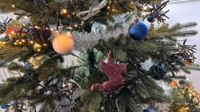 Istoria bradului de Crăciun