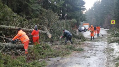 HARGHITA: Zeci de arbori doborâți de vânt pe DN13B