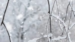 Avertizare de ninsori şi viscol, pentru 12 judeţe din Moldova, Muntenia şi Dobrogea