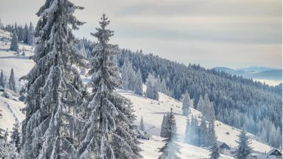 În pensiunile din Apuseni se fac ultimele pregătiri pentru noaptea de Anul Nou