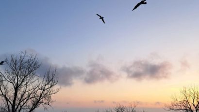 Cresc temperaturile în Dobrogea