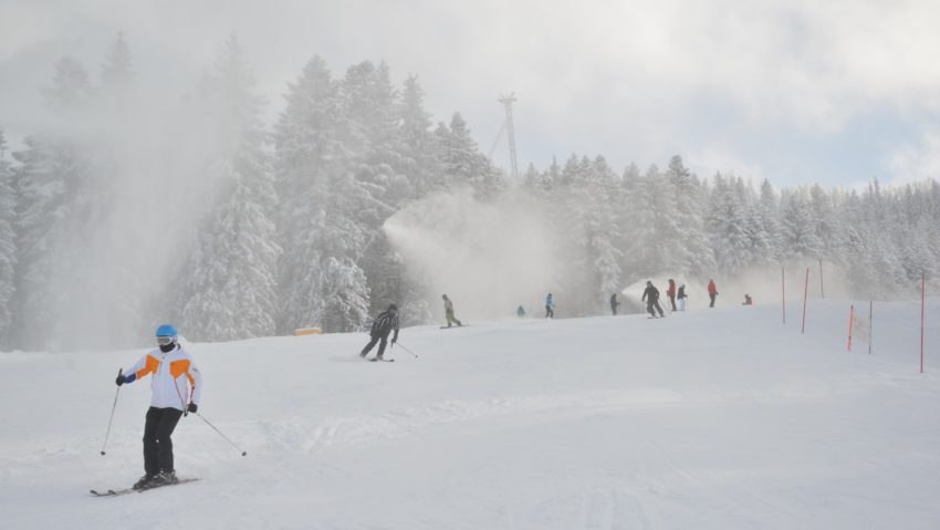 zapada artificiala primaria brasov